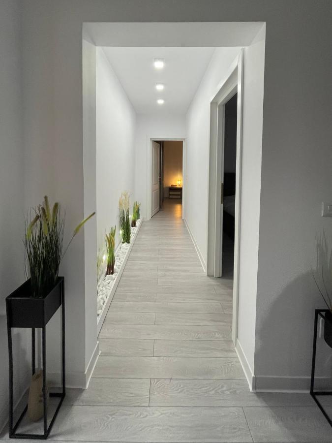 Oxana Apartments - 3 Camere - Timişoara Extérieur photo