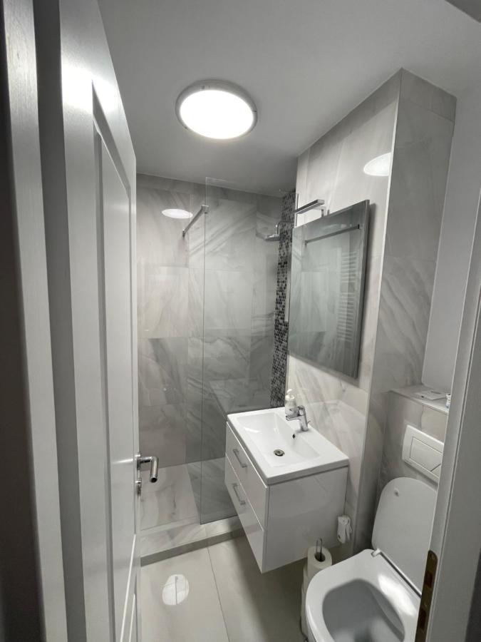 Oxana Apartments - 3 Camere - Timişoara Extérieur photo