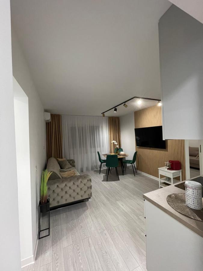 Oxana Apartments - 3 Camere - Timişoara Extérieur photo
