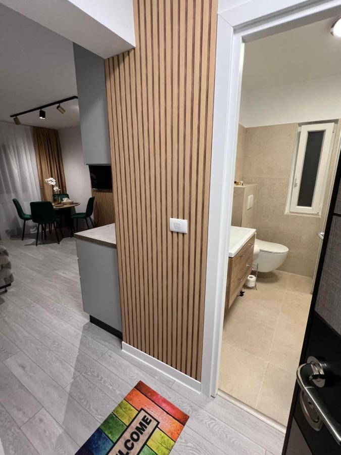 Oxana Apartments - 3 Camere - Timişoara Extérieur photo