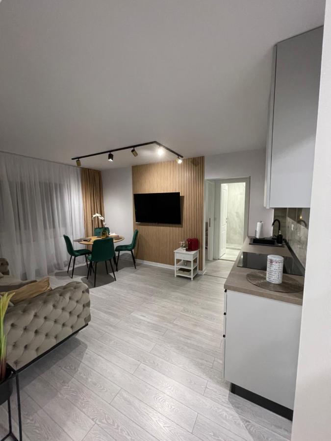Oxana Apartments - 3 Camere - Timişoara Extérieur photo