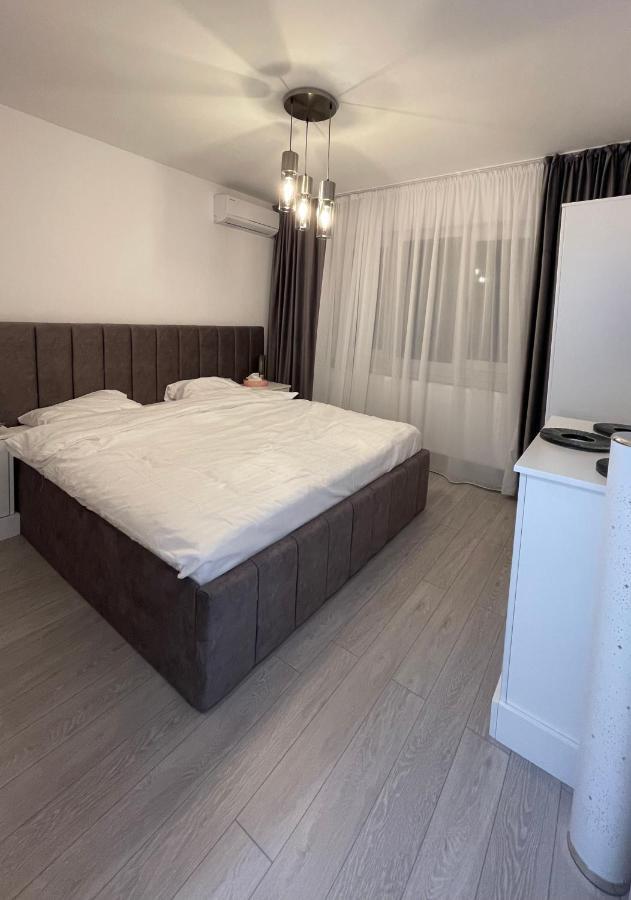 Oxana Apartments - 3 Camere - Timişoara Extérieur photo
