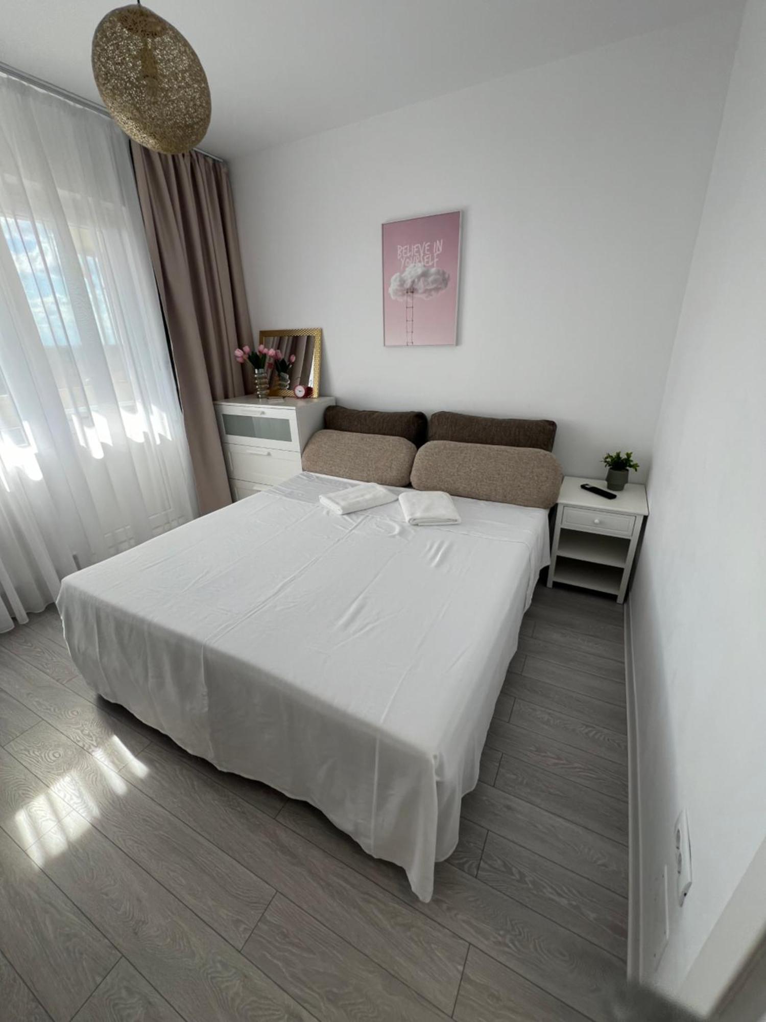 Oxana Apartments - 3 Camere - Timişoara Extérieur photo