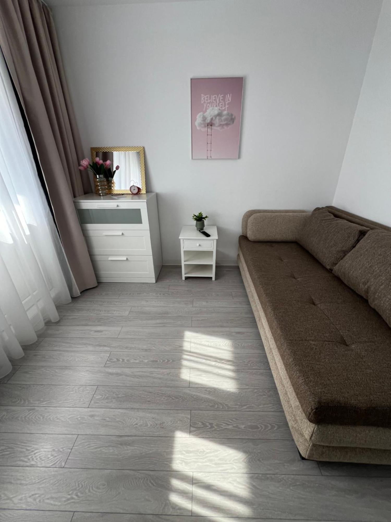 Oxana Apartments - 3 Camere - Timişoara Extérieur photo