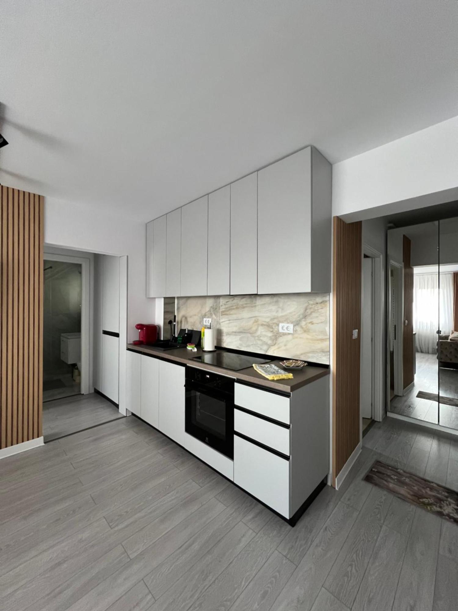 Oxana Apartments - 3 Camere - Timişoara Extérieur photo